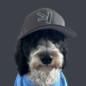 GREATER THAN ONE CROOKED NUMBER BASEBALL CAP