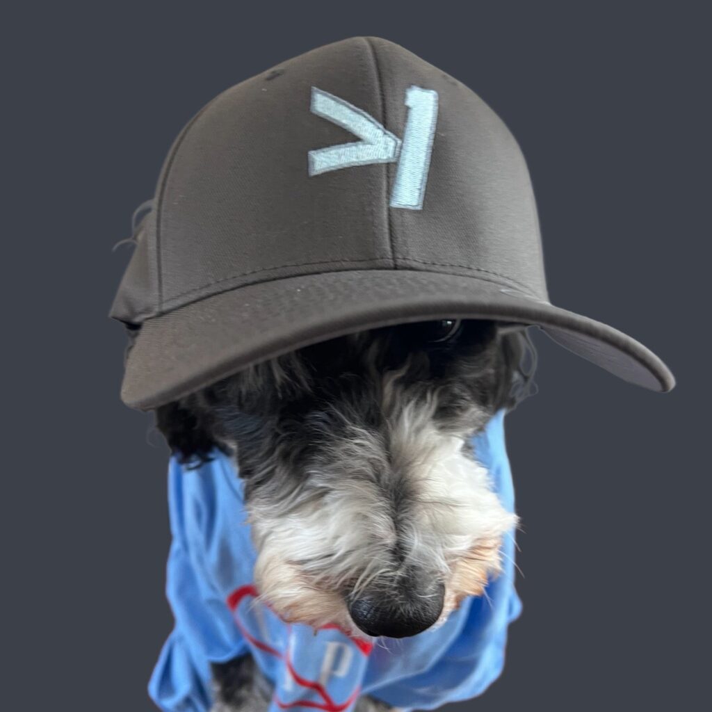 GREATER THAN ONE (CROOKED NUMBER) BASEBALL HAT