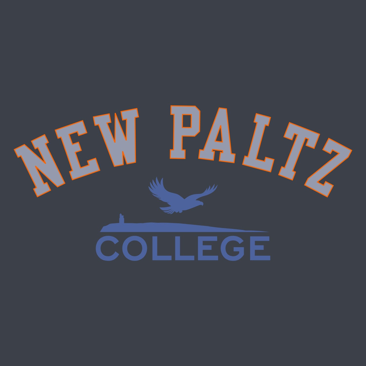 SUNY NEW PALTZ COLLEGE HOODIE