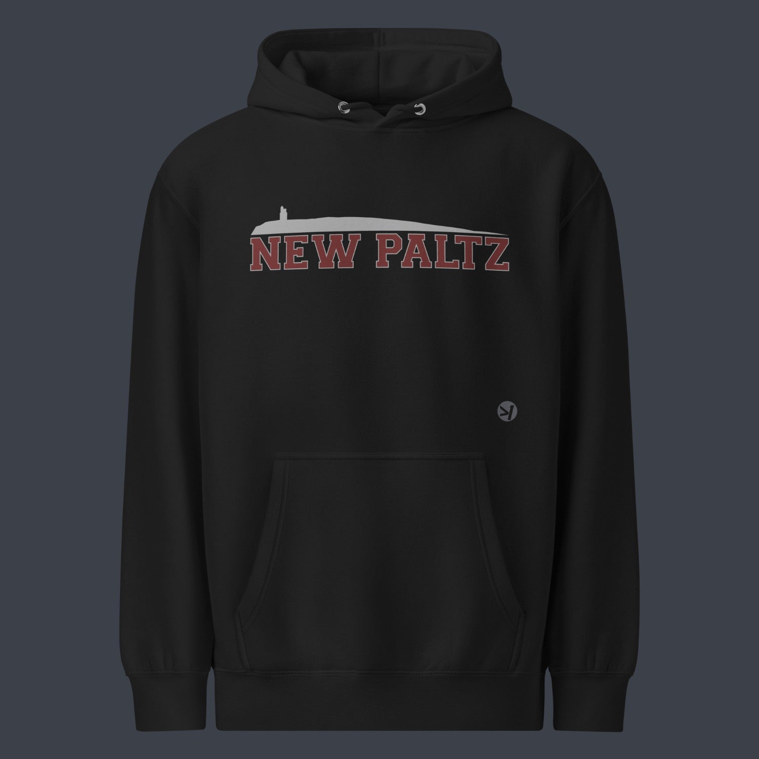 NEW PALTZ, NY HOODIE - Image 2