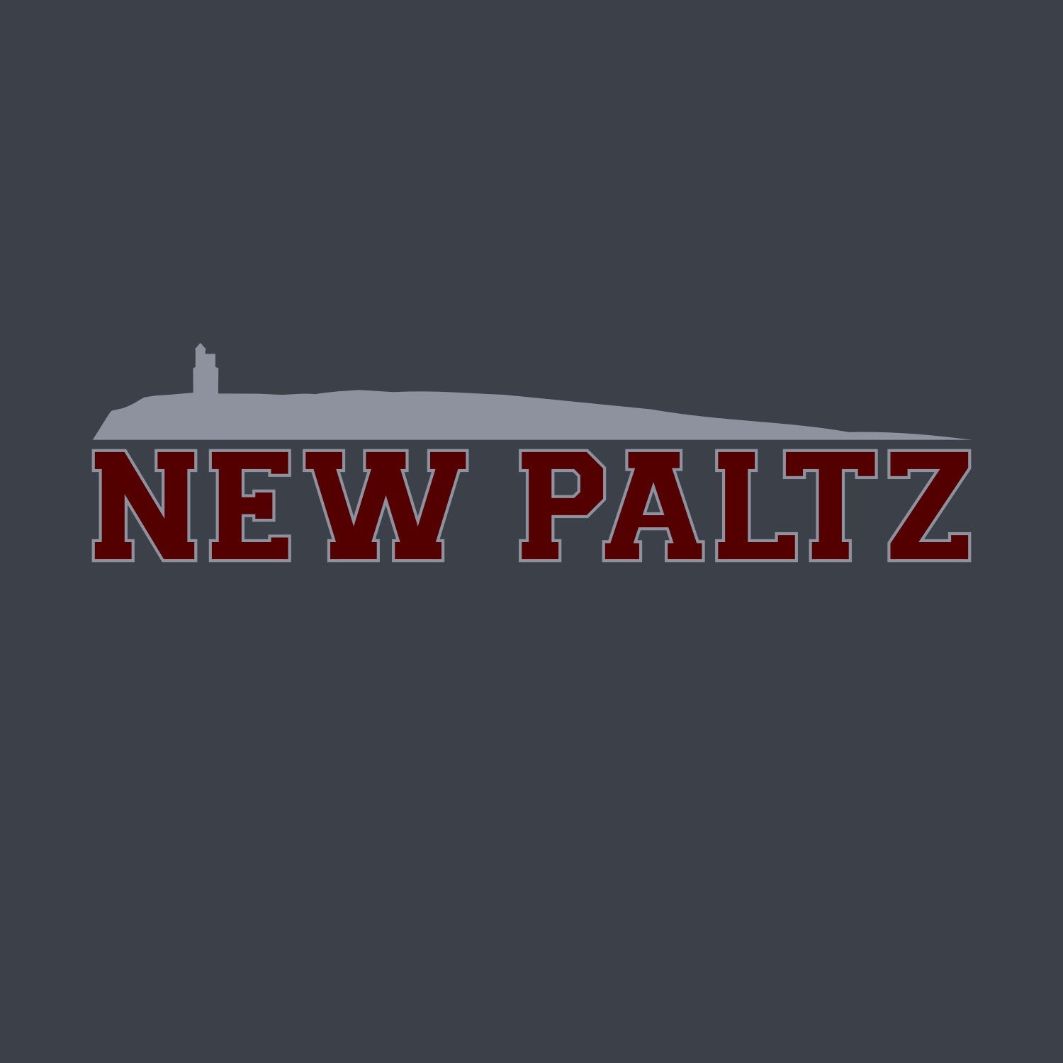 NEW PALTZ, NY HOODIE