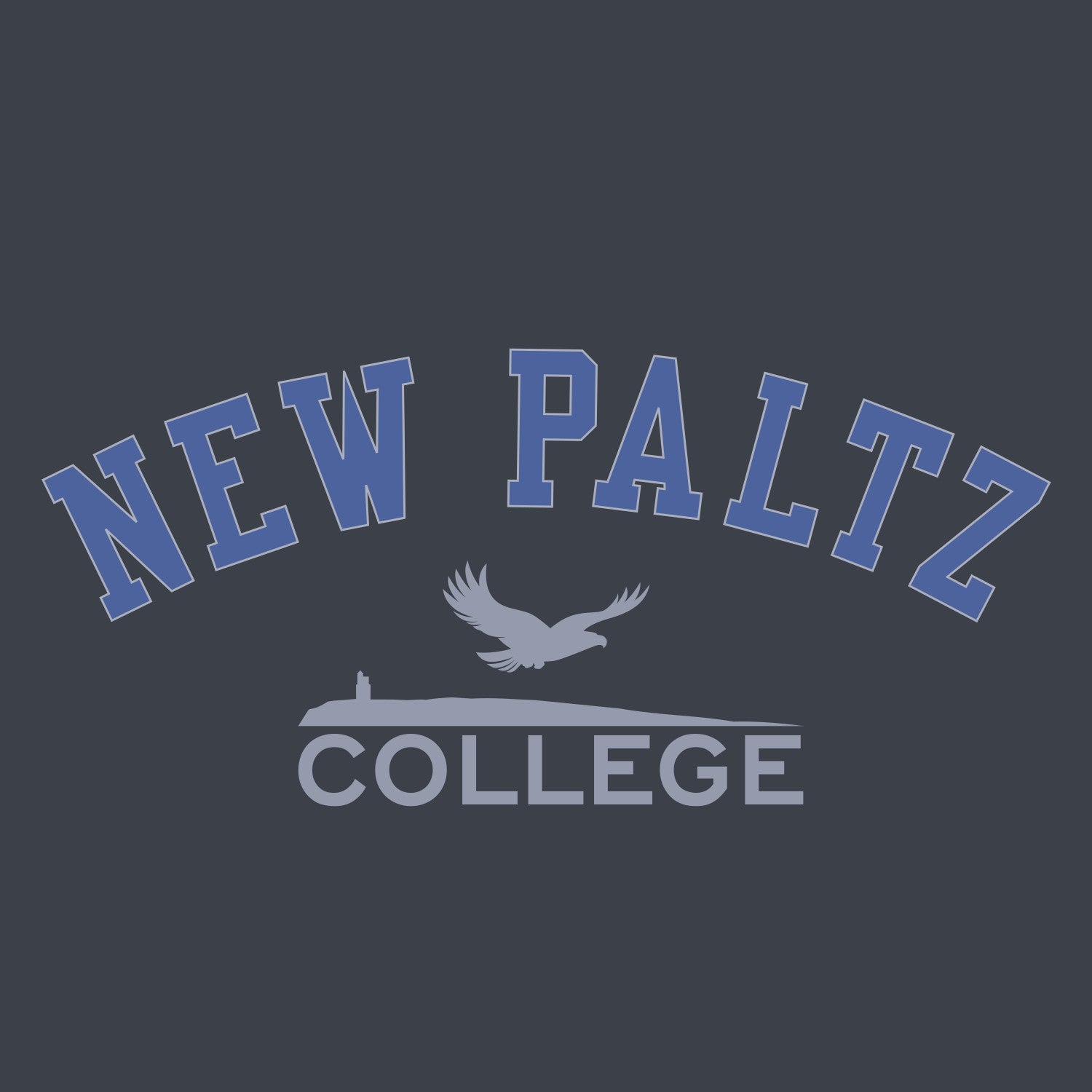 SUNY NEW PALTZ COLLEGE HOODIE