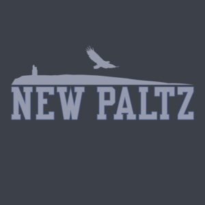 SUNY NEW PALTZ COLLEGE HOODIE