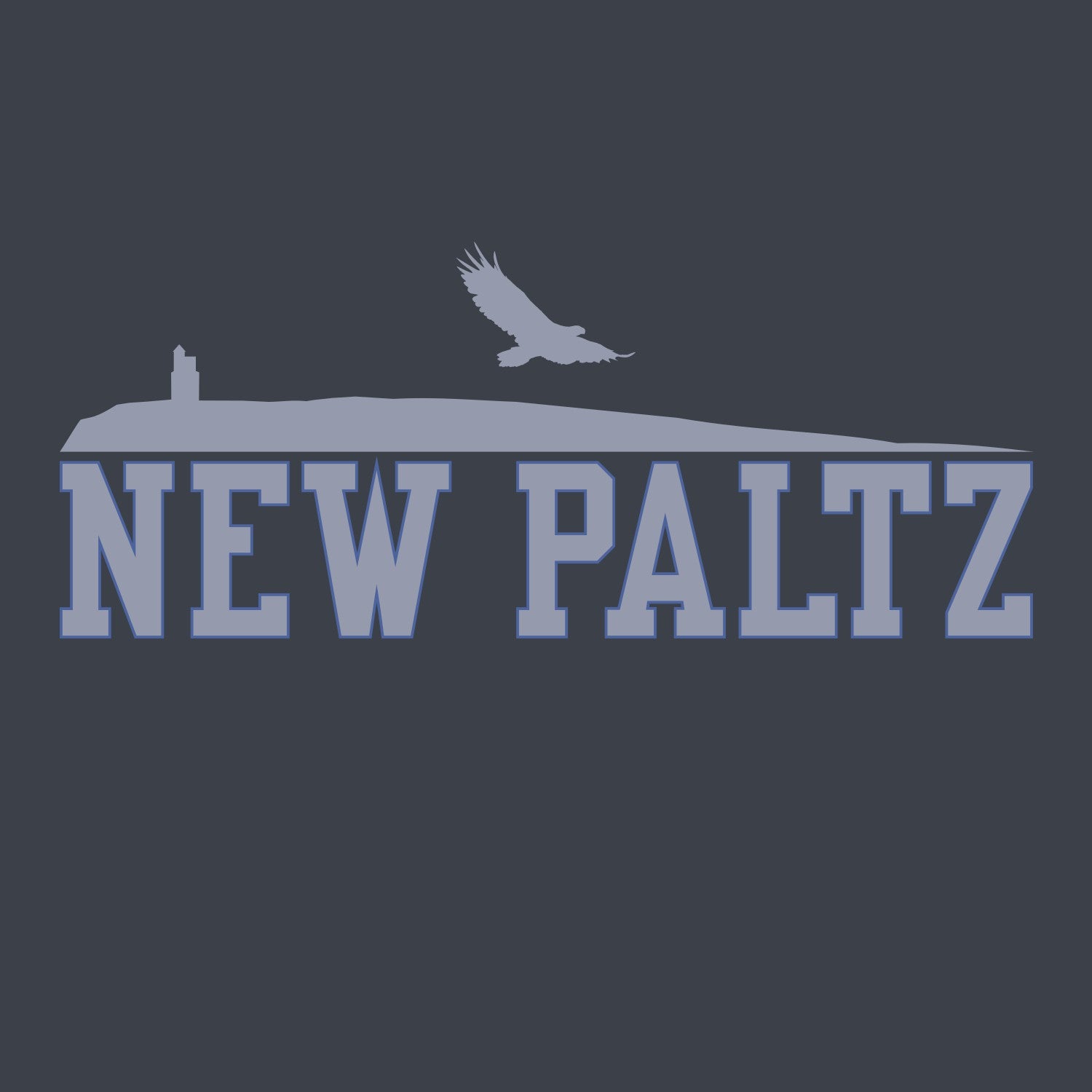 SUNY NEW PALTZ COLLEGE HOODIE