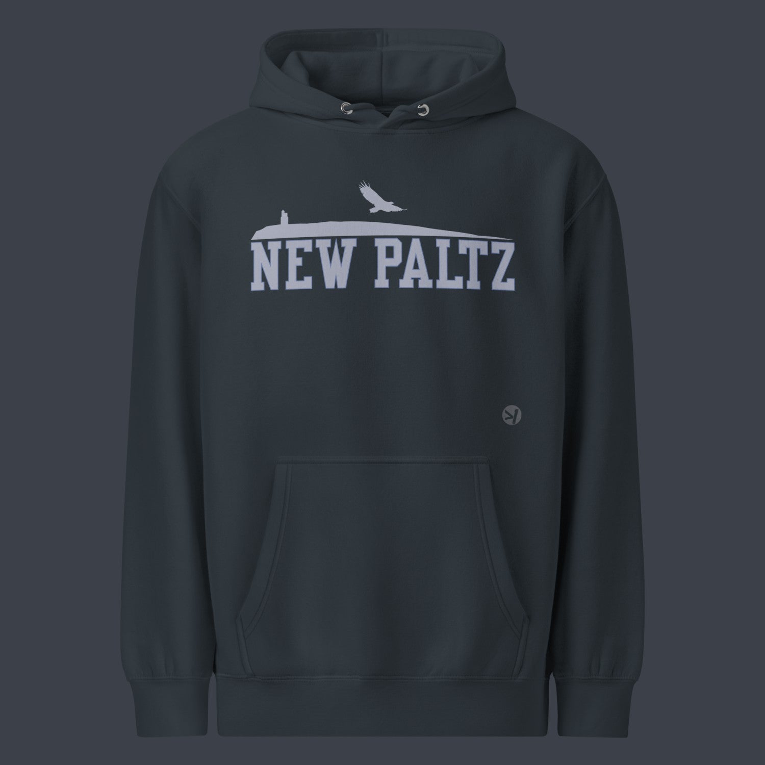 SUNY NEW PALTZ COLLEGE HOODIE - Image 3